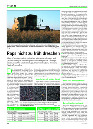 Pflanze Landwirtschaftliches Wochenblatt D ie Bestimmung des richtigen Ernte- zeitpunktes von Winterraps war im vergangenen Jahr auch in Westfalen- Lippe nicht einfach.