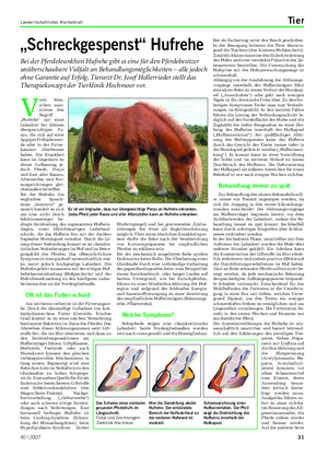 Landwirtschaftliches Wochenblatt Tier „Schreckgespenst“ Hufrehe Bei der Pferdekrankheit Hufrehe gibt es eine für den Pferdebesitzer unüberschaubare Vielfalt an Behandlungsmöglichkeiten – alle jedoch ohne Garantie auf Erfolg.