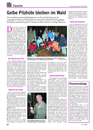 Familie Landwirtschaftliches Wochenblatt Gelbe Pilzhüte bleiben im Wald Der Landfrauenverband Rödinghausen im Kreis Herford ging in der vergangenen Woche auf Pilzexkursion.