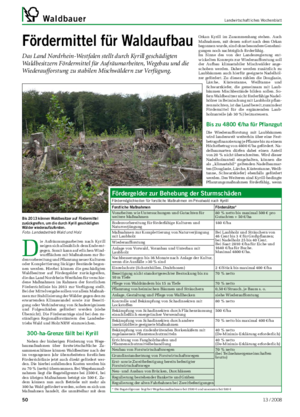 Waldbauer	 Landwirtschaftliches	Wochenblatt Fördermittel für Waldaufbau Das Land Nordrhein-Westfalen stellt durch Kyrill geschädigten Waldbesitzern Fördermittel für Aufräumarbeiten, Wegebau und die Wiederaufforstung zu stabilen Mischwäldern zur Verfügung.