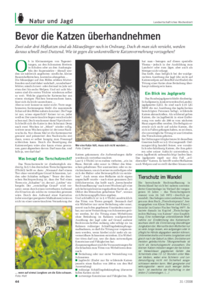 Natur und Jagd Landwirtschaftliches Wochenblatt Bevor die Katzen überhandnehmen Zwei oder drei Hofkatzen sind als Mäusefänger noch in Ordnung.