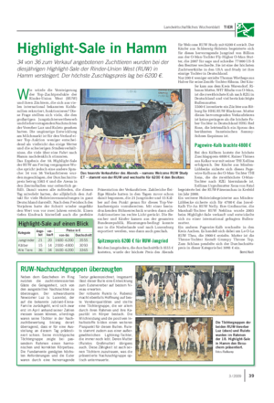 Landwirtschaftliches Wochenblatt TIER Highlight-Sale in Hamm 34 von 36 zum Verkauf angebotenen Zuchttieren wurden bei der diesjährigen Highlight-Sale der Rinder-Union West (RUW) in Hamm versteigert.