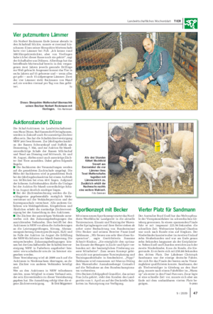 Landwirtschaftliches Wochenblatt TIER Dieses Shropshire-Mutterschaf überraschte seinen Besitzer Norbert Reckmann mit Vierlingen.