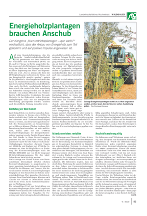 Landwirtschaftliches Wochenblatt WALDBAUER Energieholzplantagen brauchen Anschub Der Kongress „Kurzumtriebsplantagen – quo vadis?