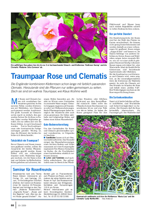GARTEN Landwirtschaftliches Wochenblatt Mit Rosen und Clematis las-sen sich wunderbare Gar-tenszenen gestalten.