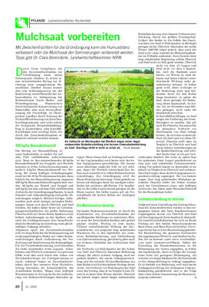 PFLANZE Landwirtschaftliches Wochenblatt Mulchsaat vorbereiten Mit Zwischenfrüchten für die Gründüngung kann die Humusbilanz verbessert oder die Mulchsaat der Sommerungen vorbereitet werden.