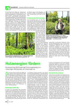 WALDBAUER Landwirtschaftliches Wochenblatt bei der Buche die Gefahr der „Verkernung“, wodurch der Wert des Holzes abnimmt.