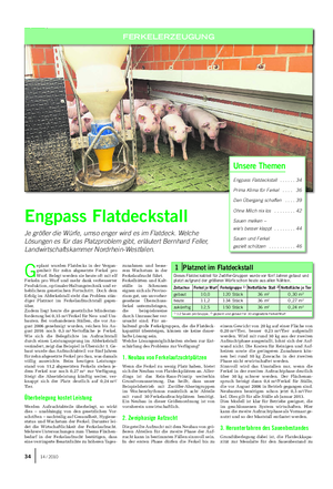 FERKELERZEUGUNG Landwirtschaftliches Wochenblatt Unsere Themen Engpass Flatdeckstall .