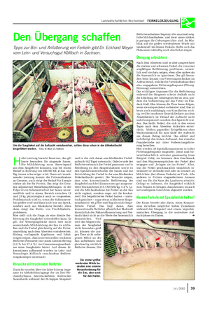 Landwirtschaftliches Wochenblatt FERKELERZEUGUNG Den Übergang schaffen Tipps zur Bei- und Anfütterung von Ferkeln gibt Dr.