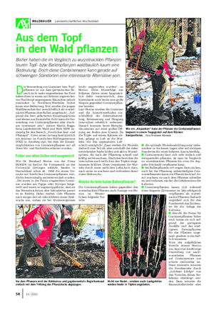 WALDBAUER Landwirtschaftliches Wochenblatt Aus dem Topf in den Wald pflanzen Bisher haben die im Vergleich zu wurzelnackten Pflanzen teuren Topf- bzw.