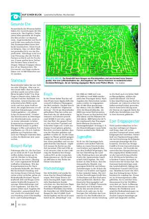 AUF EINEN BLICK Landwirtschaftliches Wochenblatt BILD DER WOCHE: Der Kreativität beim Anlegen von Maislabyrinthen sind anscheinend keine Grenzen gesetzt.