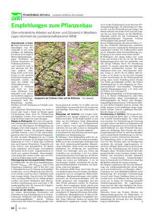 PFLANZENBAU AKTUELL Landwirtschaftliches Wochenblatt Empfehlungen zum Pflanzenbau Über erforderliche Arbeiten auf Acker- und Grünland in Westfalen- Lippe informiert die Landwirtschaftskammer NRW.