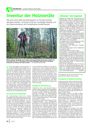 WALDBAUER Landwirtschaftliches Wochenblatt Inventur der Holzvorräte Alle zehn Jahre sollte das Betriebswerk zur Forsteinrichtung aktualisert werden, mit dessen Hilfe der nachhaltige Hiebsatz und die Einkommensteuer des Forstbetriebes ermittelt werden.