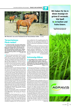 Landwirtschaftliches Wochenblatt FRAGE UND ANTWORT Tierseuchenkasse: Pferde melden?