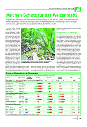 Landwirtschaftliches Wochenblatt PFLANZE Welchen Schutz für das Weizenblatt?