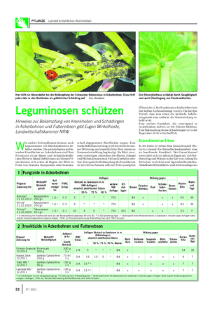 PFLANZE Landwirtschaftliches Wochenblatt W ie andere Kulturpflanzen können auch Leguminosen von Blattkrankheiten be- fallen werden.