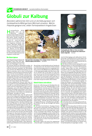 RINDERGESUNDHEIT Landwirtschaftliches Wochenblatt Globuli zur Kalbung Besonders während der Zeit rund um die Kalbung lassen sich homöopathische Mittel gut beim Milchvieh einsetzen.