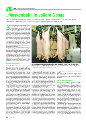 TIER Landwirtschaftliches Wochenblatt „Maskenball“ in vollem Gange Die Schlachtunternehmen „feilen“ derzeit intensiv an neuen Preismasken für Schlachtschweine.