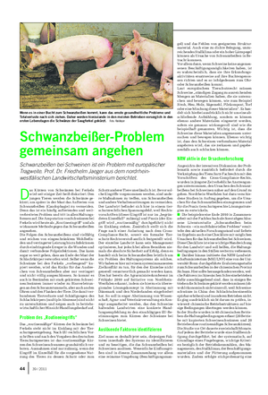 TIER Landwirtschaftliches Wochenblatt D as Kürzen von Schwänzen bei Ferkeln wird seit einiger Zeit heiß diskutiert.
