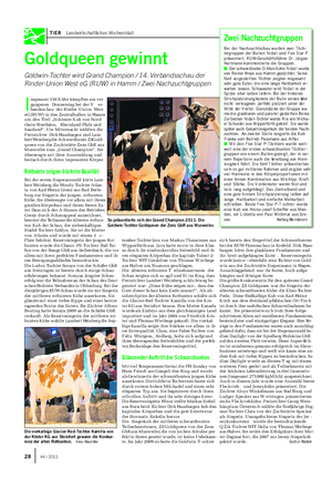 TIER Landwirtschaftliches Wochenblatt I nsgesamt 150 Kühe kämpften am ver- gangenen Donnerstag bei der V er- bandsschau der Rinder -Union West eG (RUW) in den Zentralhallen in Hamm um den Titel „Schönste Kuh von Nord- rhein-Westfalen, Rheinland-Pfalz und Saarland“.