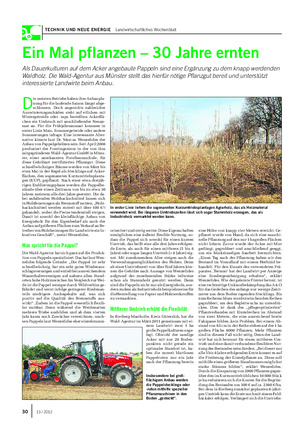 TECHNIK UND NEUE ENERGIE Landwirtschaftliches Wochenblatt 30 13 / 2012 Ein Mal pflanzen – 30 Jahre ernten Als Dauerkulturen auf dem Acker angebaute Pappeln sind eine Ergänzung zu dem knapp werdenden Waldholz.