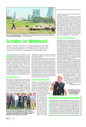 TIER Landwirtschaftliches Wochenblatt Schäfer im Wettstreit Schafe, Hunde und Hirten: In Duisburg-Walsum fand das 10.