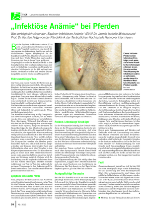 TIER Landwirtschaftliches Wochenblatt „Infektiöse Anämie“ bei Pferden Was verbirgt sich hinter der „Equinen Infektiösen Anämie“ (EIA)?