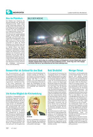 NACHRICHTEN Landwirtschaftliches Wochenblatt Körnermaisernte bei Nacht: Infolge des verstärkten Umbruchs von Wintergetreide in diesem Frühjahr wurde regional mehr Mais angebaut.