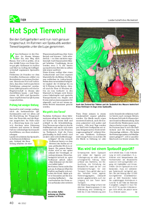 TIER Landwirtschaftliches Wochenblatt Hot Spot Tierwohl Bei den Geflügelhaltern wird nun noch genauer hingeschaut.