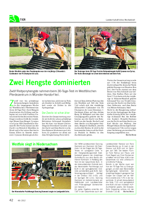 TIER Landwirtschaftliches Wochenblatt Zwei Hengste dominierten Zwölf Reitponyhengste nahmen beim 30-Tage-Test im Westfälischen Pferdezentrum in Münster-Handorf teil.