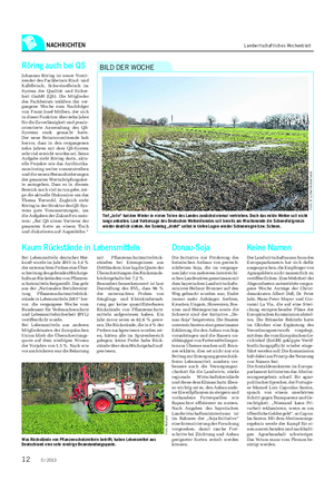 NACHRICHTEN Landwirtschaftliches Wochenblatt Tief „Jolle“ hat den Winter in vielen Teilen des Landes zunächst einmal vertrieben.