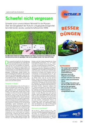 Landwirtschaftliches Wochenblatt PFLANZE Schwefel nicht vergessen Schwefel ist ein unverzichtbarer Nährstoff für die Pflanzen.