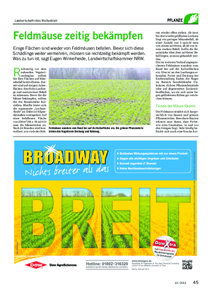  / 2013 Landwirtschaftliches Wochenblatt� pflanze feldmäuse�zeitig�bekämpfen Einige Flächen sind wieder von Feldmäusen befallen.