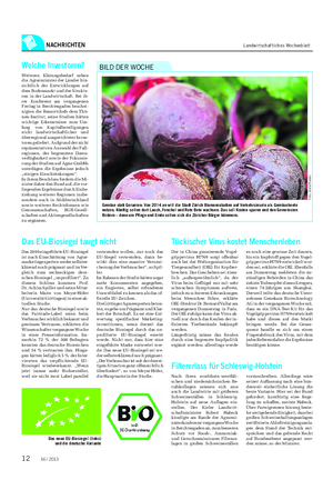 NACHRICHTEN Landwirtschaftliches Wochenblatt Gemüse statt Geranien: Von 2014 an will die Stadt Zürich Blumenrabatten auf Verkehrsinseln als Gemüsebeete nutzen.