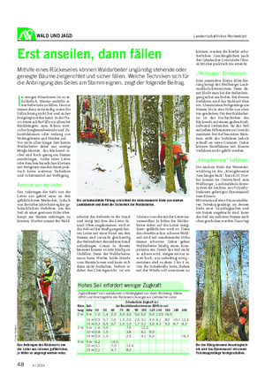 WALD UND JAGD Landwirtschaftliches Wochenblatt Erst anseilen, dann fällen Mithilfe eines Rückeseiles können Waldarbeiter ungünstig stehende oder geneigte Bäume zielgerichtet und sicher fällen.