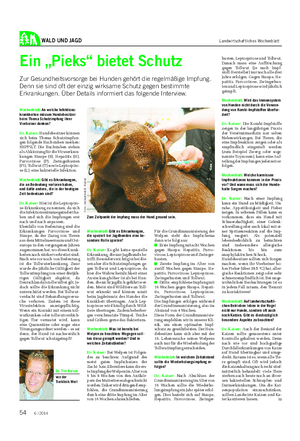 WALD UND JAGD Landwirtschaftliches Wochenblatt Ein „Pieks“ bietet Schutz Zur Gesundheitsvorsorge bei Hunden gehört die regelmäßige Impfung.
