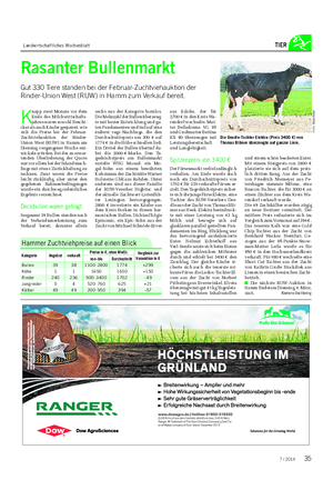 Landwirtschaftliches Wochenblatt TIER Rasanter Bullenmarkt Gut 330 Tiere standen bei der Februar-Zuchtviehauktion der Rinder-Union West (RUW) in Hamm zum Verkauf bereit.