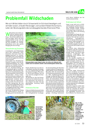 Landwirtschaftliches Wochenblatt WALD UND JAGD auch dieses Verfahren nur bei staubtrockenen Böden.