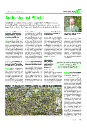 Landwirtschaftliches Wochenblatt WALD UND JAGD Aufforsten ist Pflicht Waldbesitzer wurden zuletzt verstärkt aufgefordert, nicht ausreichend bestockte Wälder aufzuforsten.