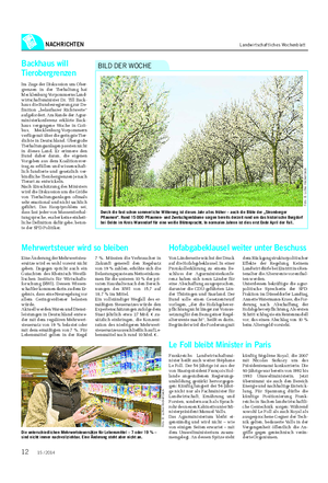 NACHRICHTEN Landwirtschaftliches Wochenblatt Durch die fast schon sommerliche Witterung ist dieses Jahr alles früher – auch die Blüte der „Stromberger Pflaumen“.