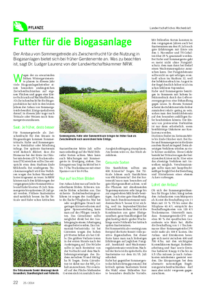 PFLANZE Landwirtschaftliches Wochenblatt Futter für die Biogasanlage Der Anbau von Sommergetreide als Zwischenfrucht für die Nutzung in Biogasanlagen bietet sich bei früher Gerstenernte an.