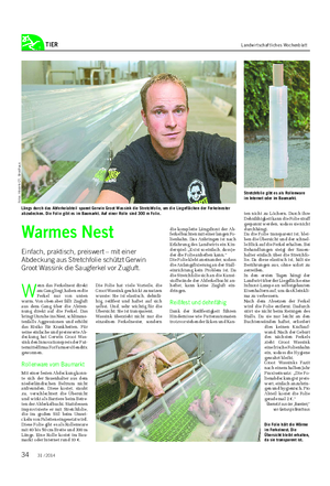 TIER Landwirtschaftliches Wochenblatt Warmes Nest Einfach, praktisch, preiswert – mit einer Abdeckung aus Stretchfolie schützt Gerwin Groot Wassink die Saugferkel vor Zugluft.