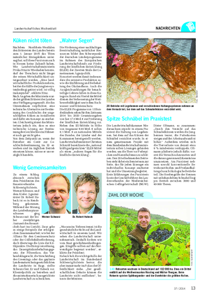 Landwirtschaftliches Wochenblatt NACHRICHTEN 140 Rebsorten wachsen in Deutschland auf 102 000 ha.
