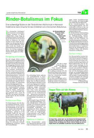 Landwirtschaftliches Wochenblatt TIER Die Wissenschaftler der Botulismus-Studie haben viele Faktoren unter die Lupe genommen.