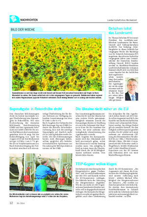 NACHRICHTEN Landwirtschaftliches Wochenblatt Sonnenblumen so weit das Auge reicht sind derzeit auf diesem Feld zwischen Everswinkel und Telgte im Kreis Warendorf zu sehen.
