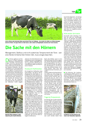 Landwirtschaftliches Wochenblatt TIER D ie Hörner gehören zur Kuh.