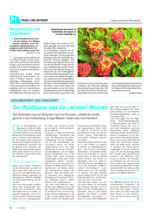 FRAGE UND ANTWORT Landwirtschaftliches Wochenblatt D ie im Rothaargebirge aus- gewilderten Wisente dürfen nicht mehr frei herumlaufen.