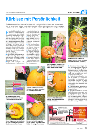 Landwirtschaftliches Wochenblatt BLICK INS LAND Kürbisse mit Persönlichkeit Zu Halloween leuchten Kürbisse mit lustigen Gesichtern vor manchem Haus.
