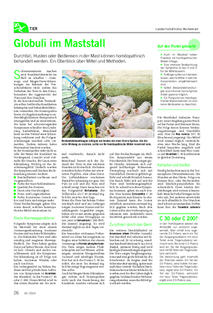 TIER Landwirtschaftliches Wochenblatt S chweinemästern machen zwei Krankheitsbereiche im Stall zu schaffen – Atem- wegs- und Magen-Darm-Erkran- kungen.
