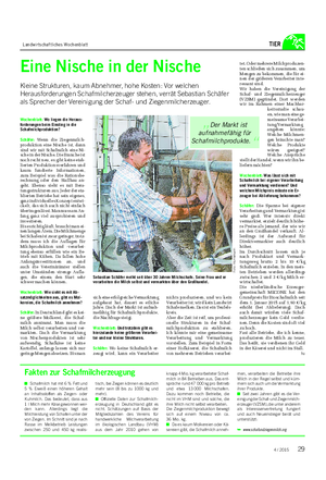Landwirtschaftliches Wochenblatt TIER Wochenblatt: Wo liegen die Heraus- forderungen beim Einstieg in die Schafmilchproduktion?